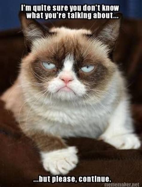 40 Funny Grumpy Cat Memes