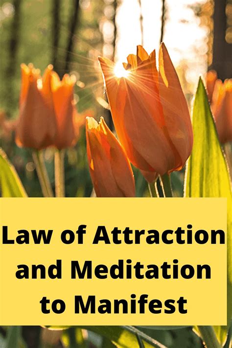 Law of Attraction Manifestation - Law Of Attraction Tips 101