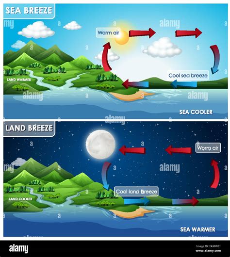 Science poster design for land and sea breeze illustration Stock Vector ...