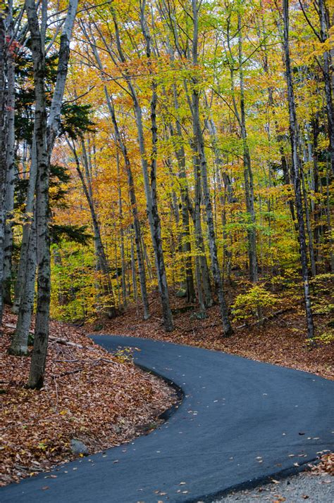 White Mountains Fall Foliage 122 by FairieGoodMother on deviantART