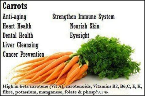 Fruits and Vegetables World : Health Benefits of Carrot