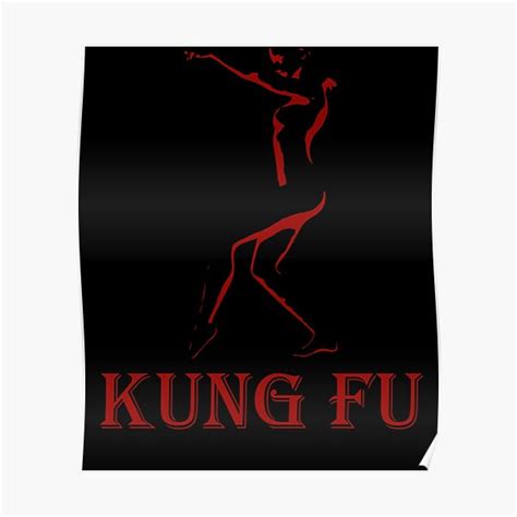 "Kung Fu" Poster for Sale by Pixelkummet | Redbubble