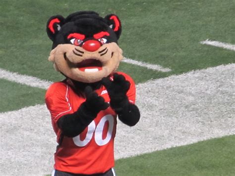 Cincinnati Bearcat Mascot | Flickr - Photo Sharing!