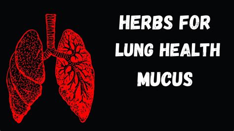 Lung Infection Treatment Home Remedy /Healthy Lung Remedies / Health ...