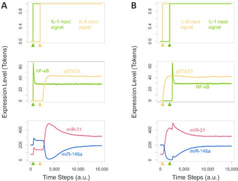 Dynamics of microRNA expression levels in response to differential ...