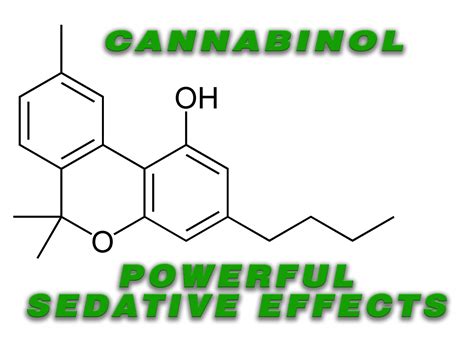 Cannabinol and Powerful Sedative Effects – Elev8 Presents