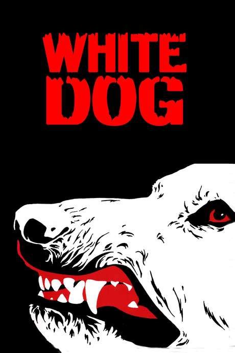 ‎White Dog (1982) directed by Samuel Fuller • Reviews, film + cast ...