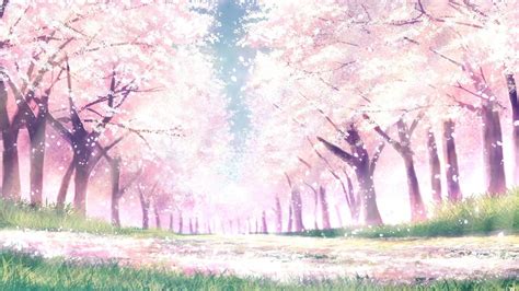 Anime Cherry Blossom Pc Wallpaper Aesthetic - IMAGESEE