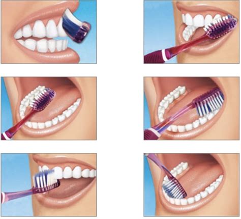 Tooth Brushing Techniques | News | Dentagama