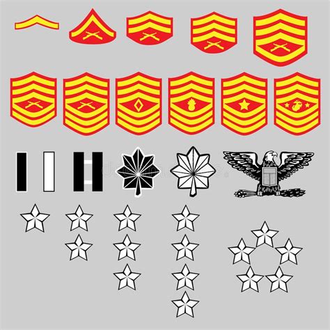 US Marine Corp Rank Insignia. Vector set of US Marine Corp officer and ...