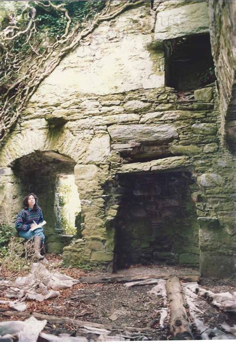 Old Court Castle, Co. Cork - Irish Tower Houses & Castles