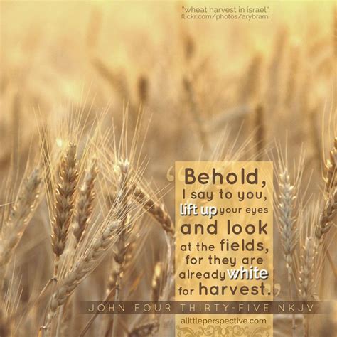 Breathtaking Scripture Pictures for Daily Inspiration