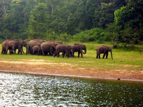 Thekkady - Kerala Photo (20703481) - Fanpop