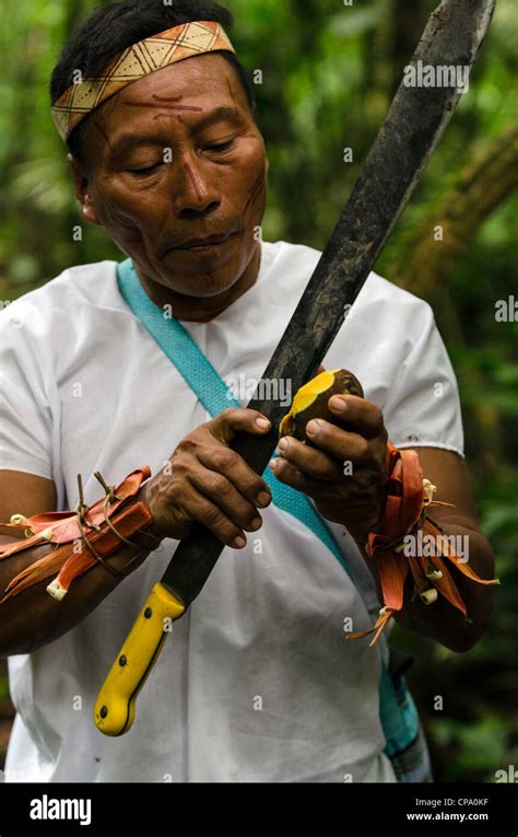 Secoya people amazon rainforest hi-res stock photography and images - Alamy