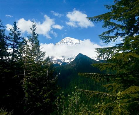 View of Mount Rainier at Mount Rainier National Park, Washington ...