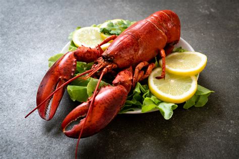 Cooked Boston Lobster (350 – 450g) - Savour Gourmet