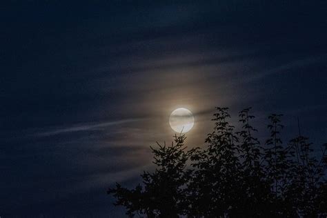 HD wallpaper: moon on sky photography, silhouette of trees at night ...