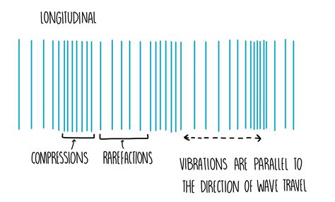 Longitudinal Wave Diagram