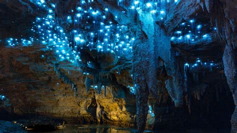 Waitomo Caves, Rotorua and Hobbiton 2-Day Private Tour - Auckland, New ...