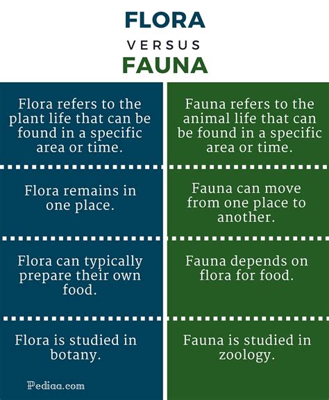 Difference Between Flora and Fauna