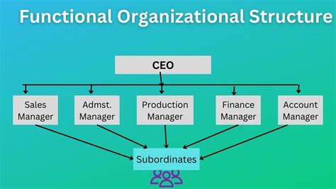 functional organization chart What is a functional organizational ...