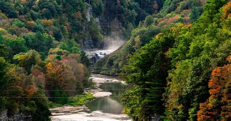 river, Trees, Forest, Nature, Landscape, Photography, Water, Mist ...