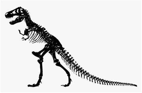 Jurassic Park T Rex Skeleton, HD Png Download - kindpng