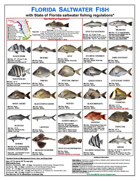 Wildforms A Freshwater Fish Id Card Fish Chart | SexiezPicz Web Porn