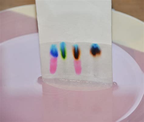 Paper Chromatography Experiment