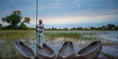 Okavango Delta Safaris: A Visitor's Guide To Okavango Delta