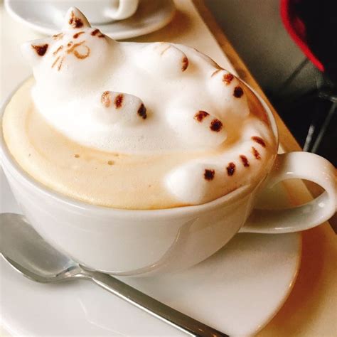 Latte Art Cute Cat ♡ | Ricette, Ricette di cucina, Ricette dolci