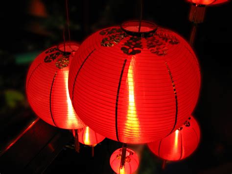 Chinese lanterns Free Photo Download | FreeImages