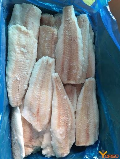 North Pacific hake, frozen, fillet, 6-8, 5%