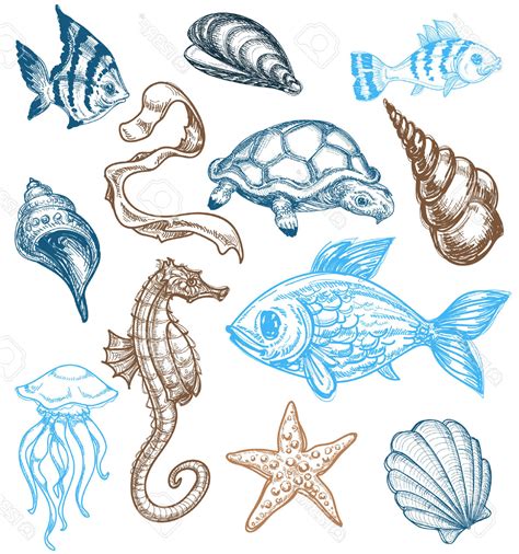 Sea Animal Drawing at GetDrawings | Free download