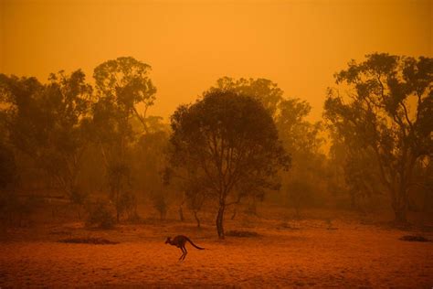 TIME for Kids | Fires in Australia