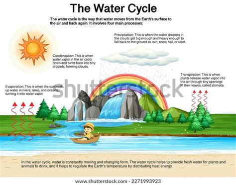 Water Cycle Diagram Science Education Illustration Stock Vector ...