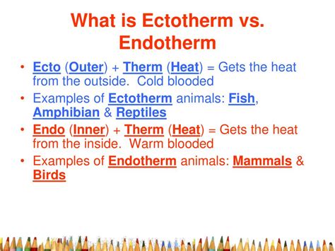 5/7 & 5/8 - 7th Grade Agenda Learning Objective: Learn about ...