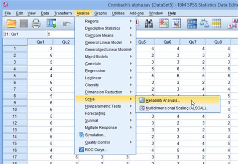 How To Process Likert Scale Data