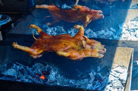 Barbecued suckling pig stock image. Image of meal, barbecued - 99725365