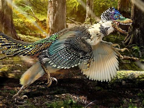 Velociraptor Feathers Discovery