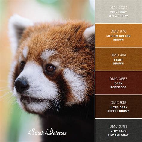 Peaceful Red Panda - Embroidery Color Palette (With Thread Codes)