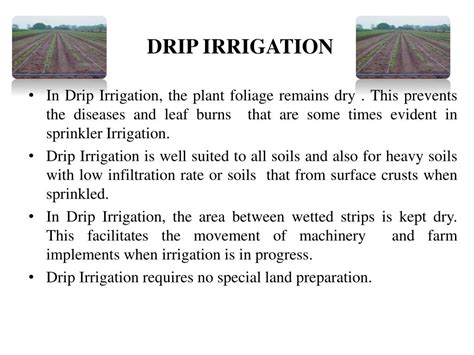 PPT - IRRIGATION METHODS PowerPoint Presentation, free download - ID ...