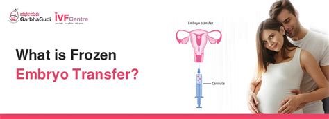 What is Frozen Embryo Transfer?