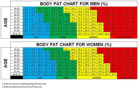 What's the Best Way to Measure Body Composition? - Invictus Fitness