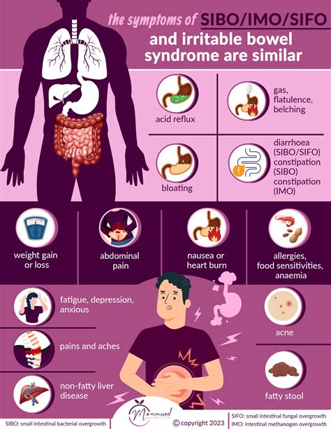 SIBO / IMO/SIFO AS A CAUSE FOR IBS SYMPTOMS - Maximised Nutrition