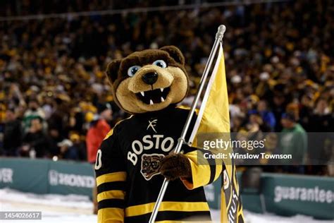 Boston Bruins Mascot Photos and Premium High Res Pictures - Getty Images