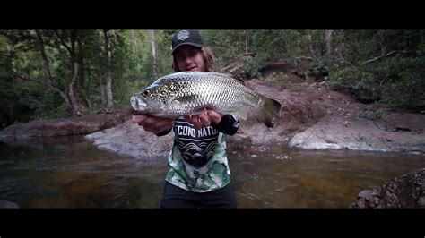 Jungle Perch Fishing in Australia - YouTube