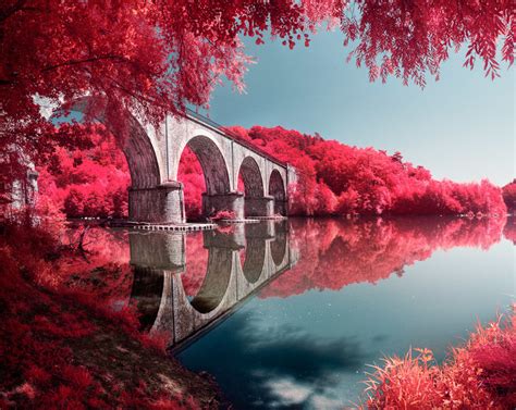 Infrared Photography Tips for Beginners