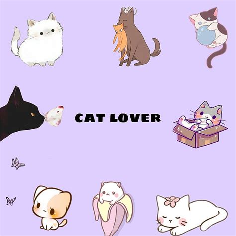 Cats, cat lover, cute overload, ipad, HD phone wallpaper | Peakpx