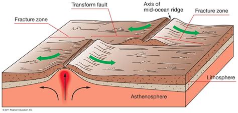 Maximum observed earthquake magnitudes along continental transform faults